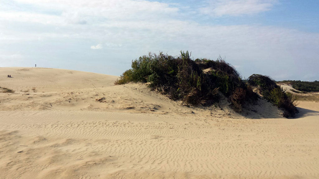 [How To Guide] Sandboarding at Jockey’s Ridge State Park in Nags Head