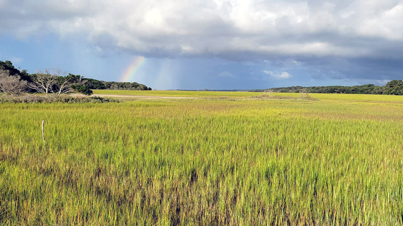 Hurricane Season for Edisto Island South Carolina 2022