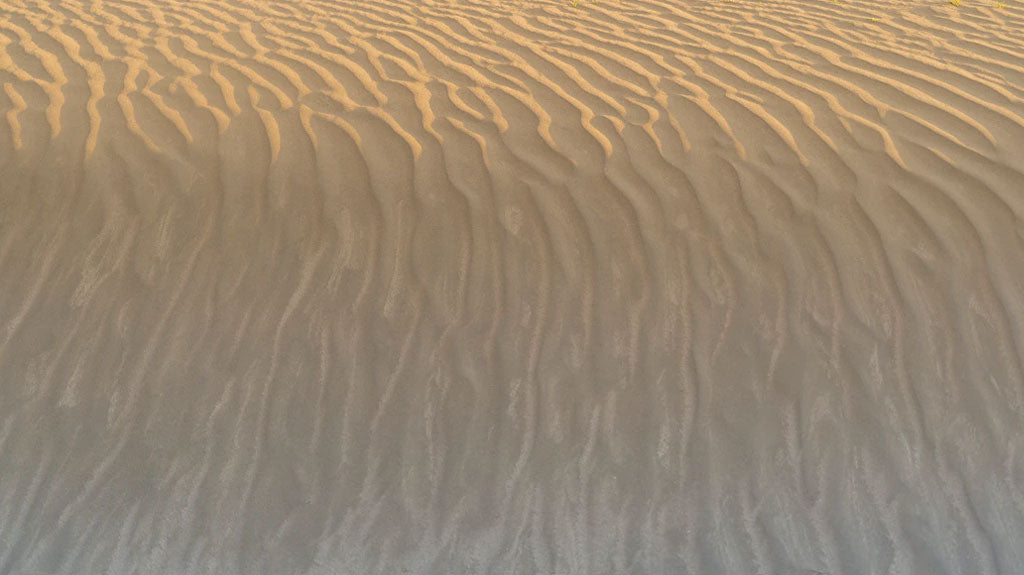 18 Astonishing Facts About Sand Dune 